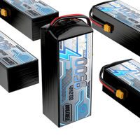 Batterie LiCoO2 à semi-conducteurs BEINUO PLH-9500 9500mAh pour drone et avion RC, 8S 30.8V, connecteur XT60, décharge à haut débit, 5000 cycles