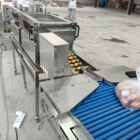 Usine de boulangerie Machine automatique de décorticage d'œufs Ligne de traitement d'œufs liquides Blancs d'œufs liquides pasteurisés