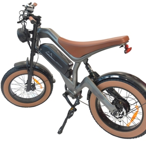 Bicicleta de Montaña de 750W con Llantas de 20 Pulgadas, Batería de 48V, Doble Suspensión, Modelo GYD2020, con Más de 20 Años de Experiencia en Comercio Internacional - Product Image 1