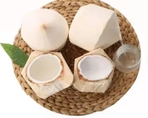 Thép không gỉ <span class=keywords><strong>Coco</strong></span> nước đấm máy trẻ Xanh dừa <span class=keywords><strong>Opener</strong></span> - Product Image 2