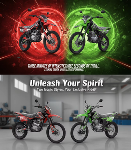 Motocicleta de Gasolina para Adultos, Motocross de 250cc, 4 Tiempos, Precio de Fábrica, Doble Disco, 105 km/h - Product Image 2