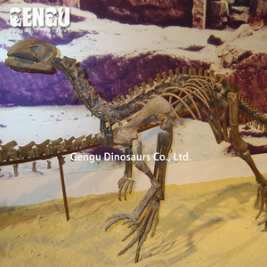 Estatua de fósil de dinosaurio de Metal para interiores, esqueleto de dinosaurio colgante para centros comerciales, aeropuertos, guarderías, escuelas - Product Image 6