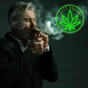 Panneau néon LED en forme de feuille verte, idéal pour la décoration murale de la chambre d'un homme, d'une salle de jeux, d'un bar ou d'un club. - Product Image 5