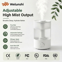 Humidificateur d'air à remplissage par le haut WLS-1304, grande capacité, ultrasonique, pour la maison, le bureau et la chambre de bébé, facile à nettoyer - Vente chaude