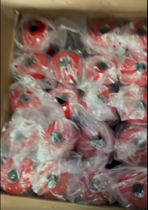 Bombola Vuota per Estintore 1kg (Extintor Vacio 1kg) Ricaricabile in Acciaio per <span class=keywords><strong>Sicurezza</strong></span> Domestica, Cucina e Auto - Perù, Argentina - Product Image 3