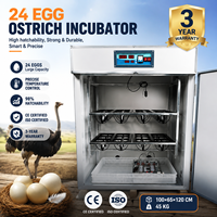Incubateurs électriques pour 24 œufs d'autruche BeYou Good Price pour l'élevage