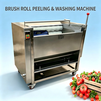 Brosse électrique pour laver les légumes, brosse à rouleaux, machine à éplucher les pommes de terre et le manioc, pour le lavage et l'épluchage des légumes racines