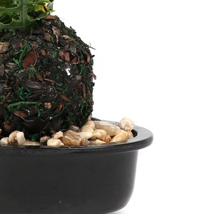 Verde Artificial hoja de <span class=keywords><strong>palma</strong></span> plantas de plástico jardín hogar decoraciones Scutellaria Tropical árbol plantas falsas - Product Image 5