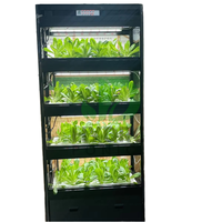 Équipement de culture hydroponique automatique multicouche NFT à 36 trous avec pompe, conception peu encombrante pour l'agriculture urbaine et le jardinage domestique