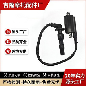 Bobine d'allumage Jilong 3189 monocylindre pour pièces de moto Everest Kaiyue 500X - Product Image 5