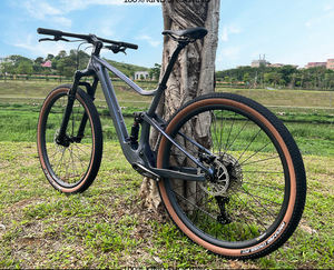 <span class=keywords><strong>Bicicleta</strong></span> de Montaña BXT MTB-XC-097 29er de Carbono con Suspensión Completa, Frenos de Disco, Descenso, Trekking, Descuento en <span class=keywords><strong>Bicicleta</strong></span> de Montaña de Carbono - Product Image 5