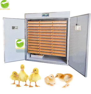 Incubadora de aves de corral con capacidad para huevos Premium 500, completamente automática con control de humedad - Product Image 1