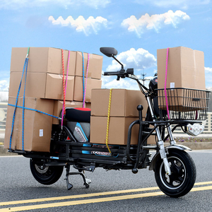 African Heavy Duty 2 Wheel Mini Family <span class=keywords><strong>E</strong></span>-bike avec chargement frontal 16 Inch Long Tail Electric Cargo <span class=keywords><strong>E</strong></span> Bike for Express - Product Image 1