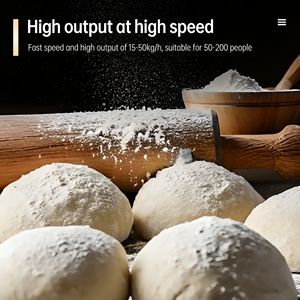 Mélangeur <span class=keywords><strong>de</strong></span> farine électrique à faible bruit pour boulangerie commerciale HWJ-25B, bol en acier inoxydable, pour eau et lait - Product Image 6