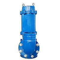 Pompe centrifuge électrique submersible monophasée triphasée 3 pouces Pompe à eaux usées à agitation