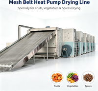 Diye Energy Multifunctionele Warmtepomp Mesh Belt Droger voor Jujube, Chili, Bananenplakjes, Mango Chips, Industrieel Multi-Layer Ontwerp
