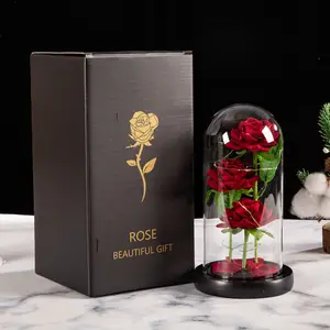 Drie Bewaarde Bloem Valentijnsdag Geschenken Ideeën Betoverde Led-verlichting In Glas Dome Eeuwige Rose Ornamenten