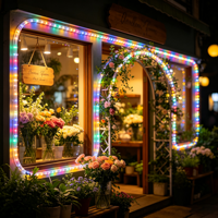 Guirlandes LED flexibles et modulables 110V avec alimentation, étanches IP44 pour enseignes DIY, artisanat et décorations de fêtes