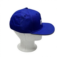Casquette de baseball en coton 100% avec broderie de logo personnalisé, multicolores, fermeture à boucle métallique réglable, unisexe, adulte, toutes saisons