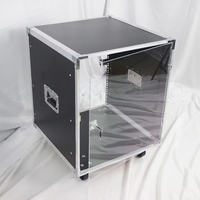 Flight Case en aluminium 4U 6U 8U 10U 12U 14U 16U 20U Portable pour amplificateur audiovisuel Flight Shipping Case