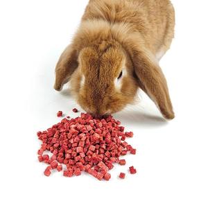 Morceaux lyophilisés 60g Lapin Chinchilla Cochon d'Inde Hamster Chew Snacks Fraise Sec - Product Image 4