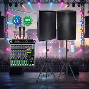 רמקולים גדולים 10 אינץ' למכירה, מערכת שמע ביתית למסיבות, רמקול ניאודימיום מקצועי, טווח צלילים מלא - Product Image 6