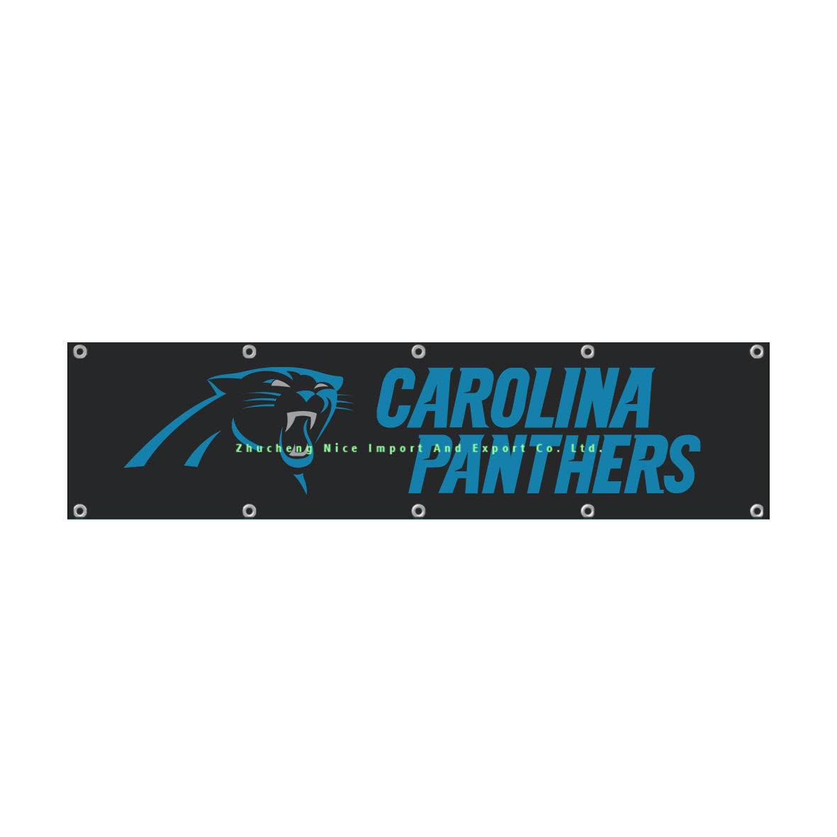Panthers de la Caroline