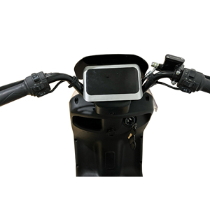 Trottinette électrique pour adultes, moteur électrique, <span class=keywords><strong>prix</strong></span> d'usine, vélo pour adultes 1000w - Product Image 3