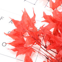 Feuillage d'automne en vrac, feuilles d'érable naturelles conservées, faites à la main, décorations de table pour Thanksgiving et mariage, éternelles et respectueuses de l'environnement