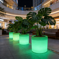 Pots de fleurs en plastique éclairés par LED, pots de jardin lumineux