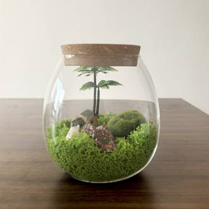 Terrario in Vetro da Tavolo con Coperchio in Sughero, Mini Vaso Decorativo per <span class=keywords><strong>Piante</strong></span> di Muschio e Fiori, Centrotavola - Product Image 6