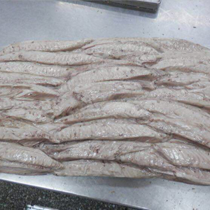 Il tonno rosso pinna gialla congelato precotto delle maldive in scatola essiccato in scatola conservato con varietà di salamoia include il tonno striato - Product Image 1