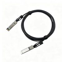 Kabel DAC SFP28 ke SFP28 25G Berkinerja Tinggi, Kabel Tembaga Pasif Direct Attach 0.5m 1m 2m 3m 5m Interkoneksi Pusat Data