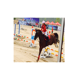 Highest Barriers to Frame Horse <strong>Jump</strong> Poles Horse <strong>Jump</strong> - Product Image 6
