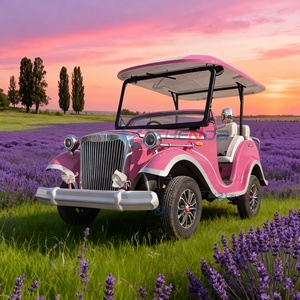Vehículo eléctrico clásico Coche vintage Turismo Coches clásicos a la venta Asientos de coche clásicos - Product Image 1