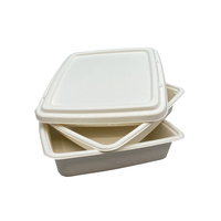 Emballage alimentaire jetable portable 24oz 32oz 1000ml 10" Boîte rectangulaire en papier biodégradable en canne à sucre Contenant pour nouilles et pique-nique