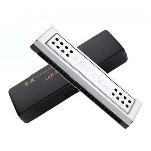 Nouvelle tendance étudiant adulte débutant professionnel jouant 24 trous polyphonique Double face Tuning C G Harmonica - Product Image 1