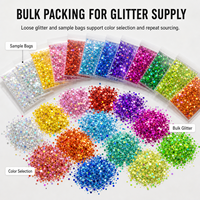 Paillettes holographiques en vrac pour globes à neige, gobelets et ongles – Mélange de paillettes épaisses pour globes à neige et ongles