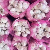 Ail frais de Chine de qualité supérieure, 4,5-6,0 cm, nouveau fournisseur, ail blanc frais, vente en gros d'ail, exportateur d'ail frais, prix le plus bas