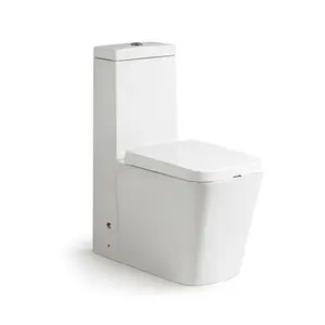 KD-T063P Grace Wit Geglazuurd Sanitair De Nieuwste Nuttige Keramische Bidet Toilet Duiter Ontwerp Eendelig Wc Met Vierkante Kom