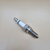 Bougie d'allumage pour tricycle/vélo à deux roues/vélo ordinaire 31101061 G4011310 R6 Prix très abordable Convient aux moteurs Bajaj TVS