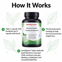 Complément Probiotique et Minceur en Gros OEM pour Femmes et Hommes avec Thé Vert pour le Soutien Digestif et la Gestion du Poids
