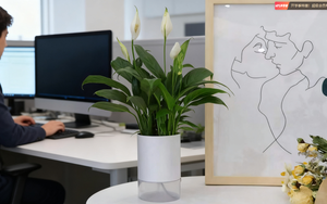 Sistema <span class=keywords><strong>de</strong></span> Cultivo <span class=keywords><strong>de</strong></span> Plantas Ultrapequeño - Sistema Moderno <span class=keywords><strong>de</strong></span> Plantas Verdes para el Hogar - Maceta Ecológica y Respetuosa con el Medio Ambiente - Product Image 3