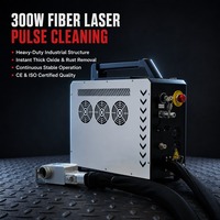 Machine de nettoyage laser à impulsions refroidie par air 300W, unité complète en valise, système de décapage de peinture et de rouille lourde monophasé