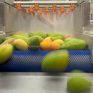 Moxin Orange Citron Brosse Laveuse Myrtille Prune Brosse Rouleau Machine à Laver Nectarine <span class=keywords><strong>Passion</strong></span> Fruit Machine de Nettoyage - Product Image 2