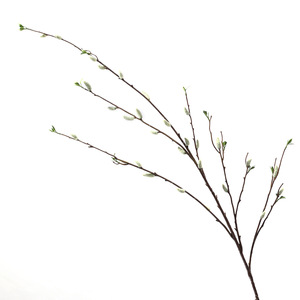 Grand Saule Blanc Artificiel 'Big Bud Pussy Willow' Grande Taille pour Composition Florale <span class=keywords><strong>de</strong></span> Mariage, Écologique et Durable pour Aménagement Paysager - Product Image 6