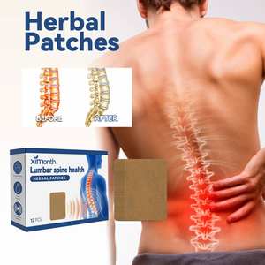 Ximonth Label pribadi plester Herbal Wormwood alami, plester pereda nyeri tulang belakang Lumbar untuk pria dan wanita - Product Image 2