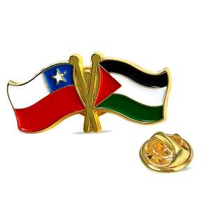 Épingles à double drapeau national en gros, bannière incurvée, souvenirs d'amitié bilatérale en métal émaillé, tenue diplomatique pour événement national - Product Image 2