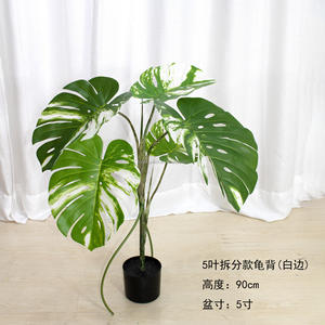 Vente en gros Décoration artificielle <span class=keywords><strong>Plante</strong></span> de Chine Deliciosa <span class=keywords><strong>Variegata</strong></span> Real Touch Feuille panachée Faux décor <span class=keywords><strong>Monstera</strong></span> Arbre - Product Image 4