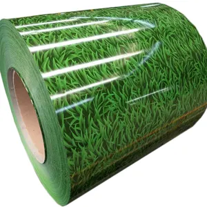 Galvanized Steel PPGI Coil Grass Pattern 0.3mm Thickness Color Coated Steel Roll PPGI Coils